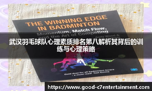 武汉羽毛球队心理素质排名第八解析其背后的训练与心理策略